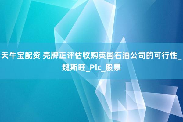 天牛宝配资 壳牌正评估收购英国石油公司的可行性_魏斯旺_Plc_股票