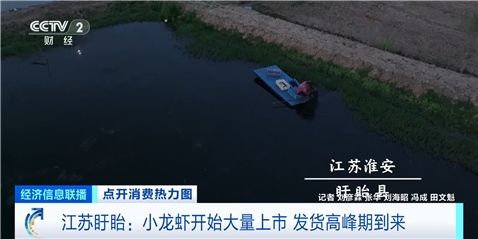 汇盈策略  夏季“顶流美食”大量上市 已帮你提前问好价！