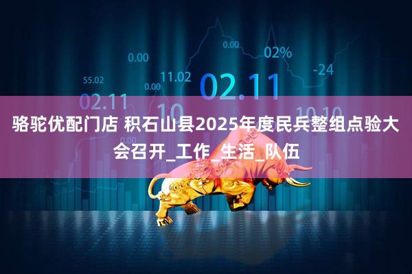 骆驼优配门店 积石山县2025年度民兵整组点验大会召开_工作_生活_队伍