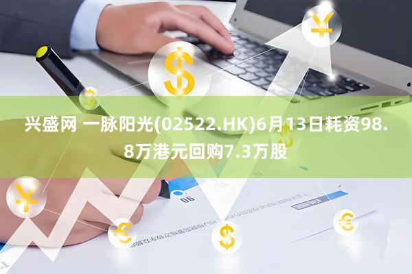 兴盛网 一脉阳光(02522.HK)6月13日耗资98.8万港元回购7.3万股