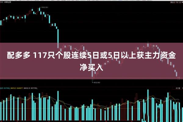 配多多 117只个股连续5日或5日以上获主力资金净买入