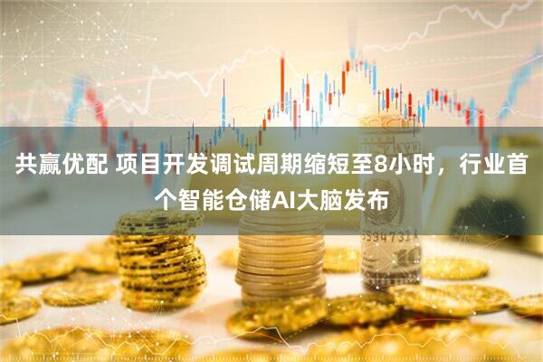 共赢优配 项目开发调试周期缩短至8小时，行业首个智能仓储AI大脑发布