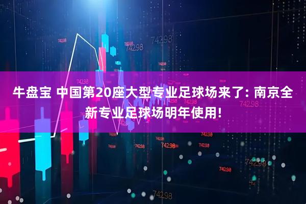 牛盘宝 中国第20座大型专业足球场来了: 南京全新专业足球场明年使用!
